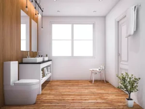 Rénovation Le Plessis Gassot 95720